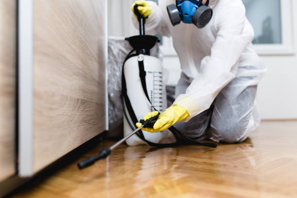 Reliable Melrose Park, NY Pest Control Solutions