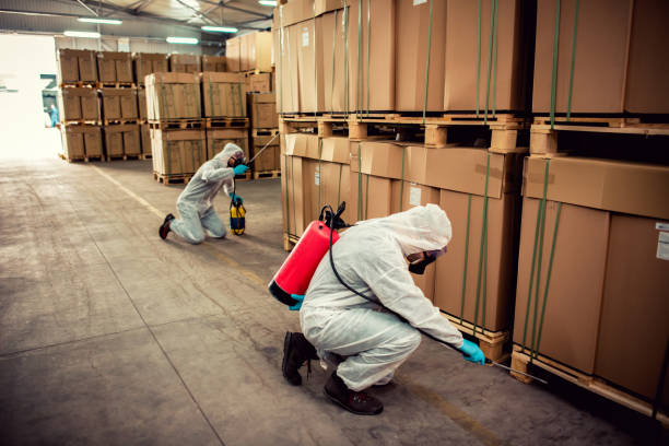 Best Rat Extermination Near Me  in Melrose Park, NY