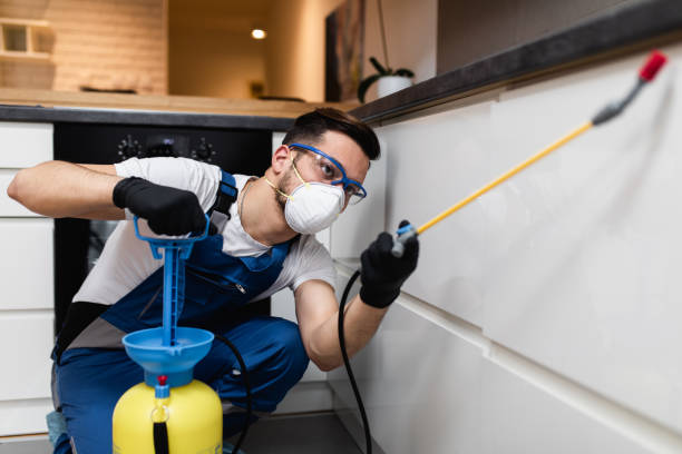 Best Termite Control Services  in Melrose Park, NY