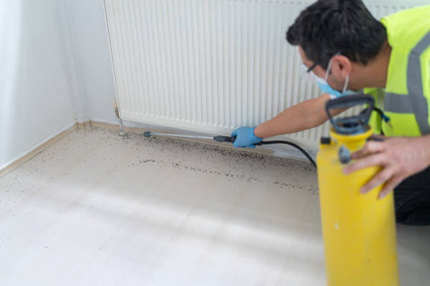 Best Pest Control Near Me  in Melrose Park, NY