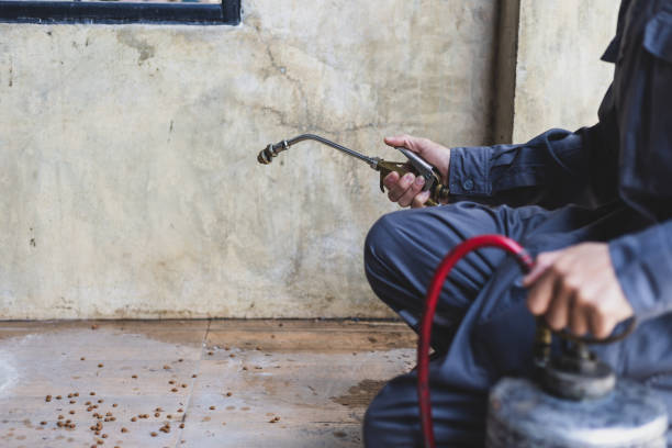 Best Commercial Pest Control Services  in Melrose Park, NY
